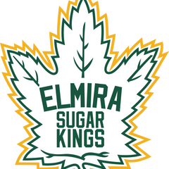 Collection image for: Elmira Jr Sugar Kings