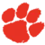 Cambridge Lions