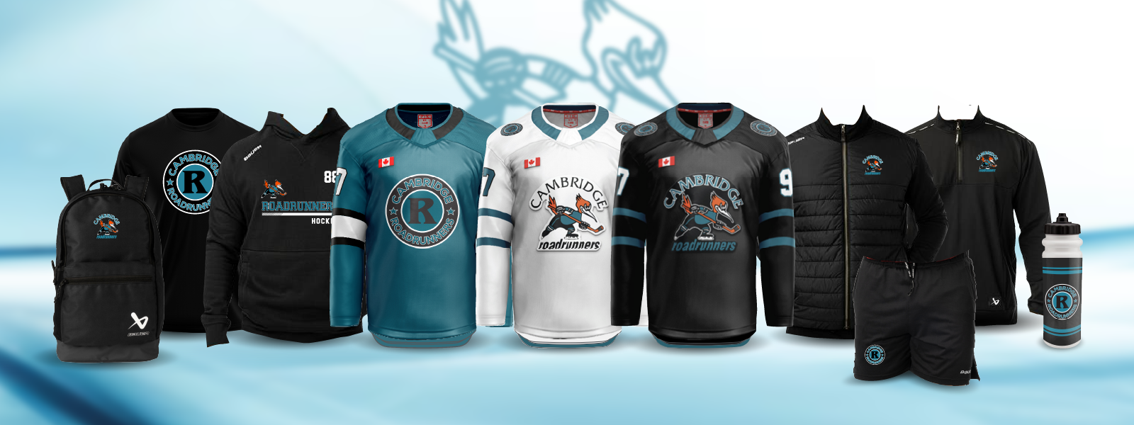 Cambridge roadrunners