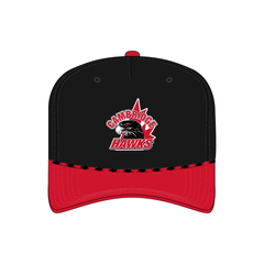Collection image for: Hockey Teams