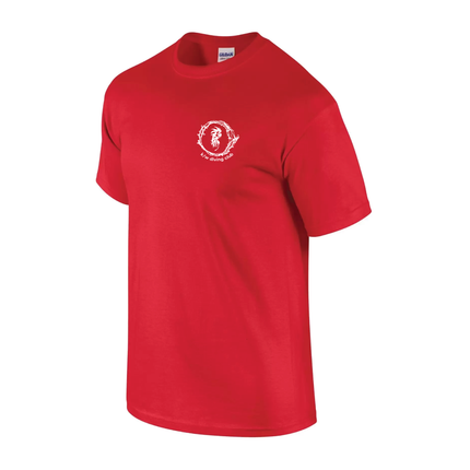 cotton-t-shirts-03.png