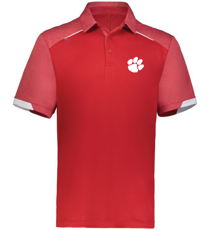 lions-polo.png