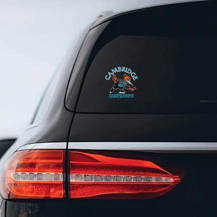 roadrunner-car-decal.png