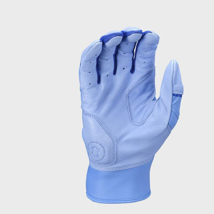 wh25bg-cbry-1.jpg